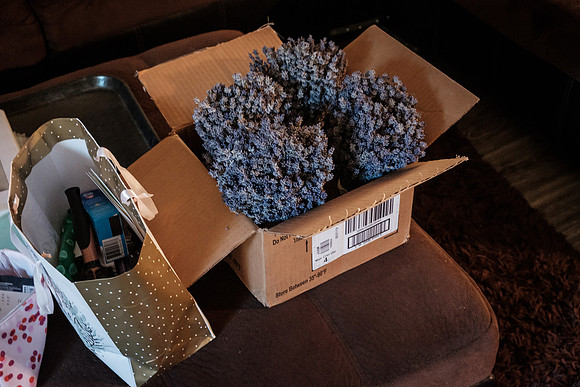 gt-0232