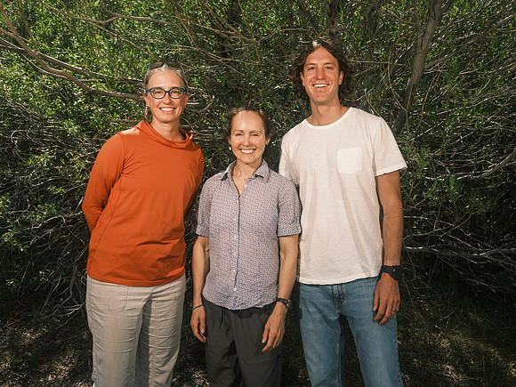 Whitebark-35