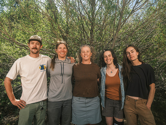 Whitebark-16