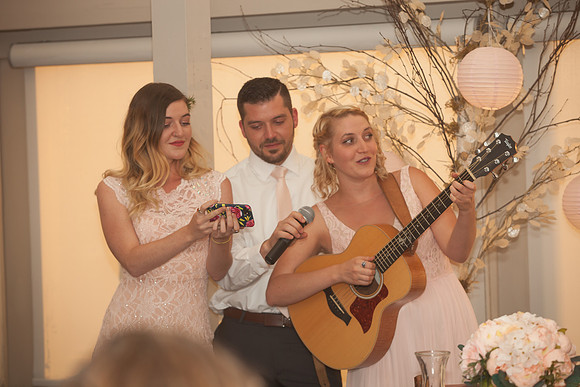 toasts-5844
