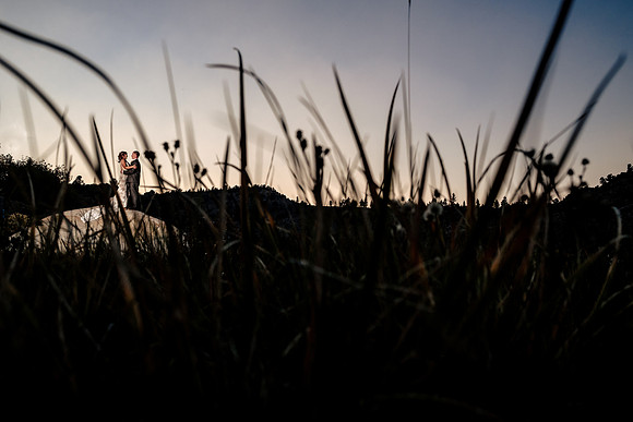 grass
