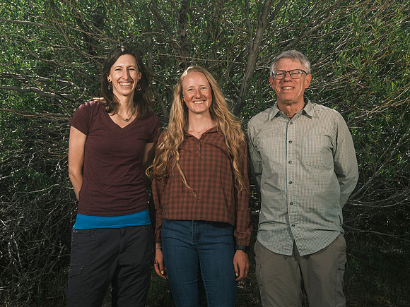 Whitebark-32