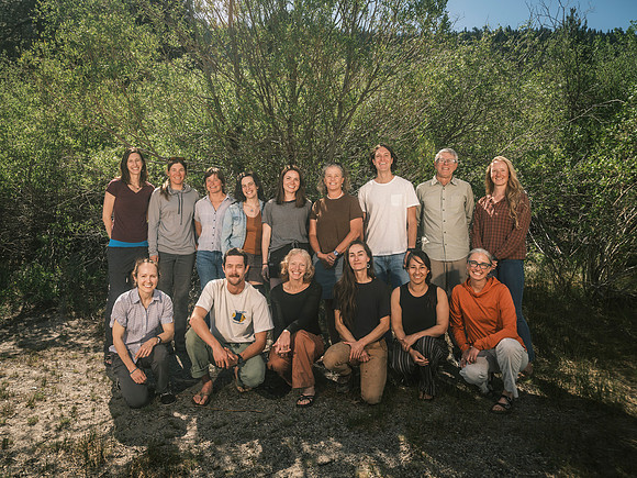 Whitebark-7