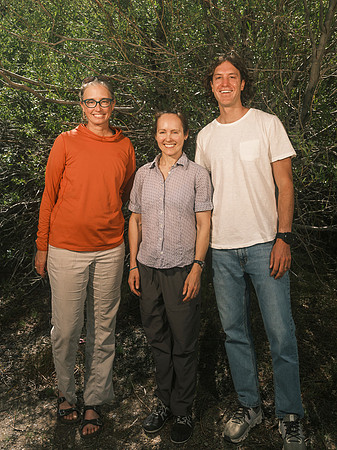 Whitebark-36