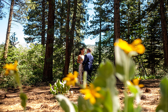 1.RJ_ready-246